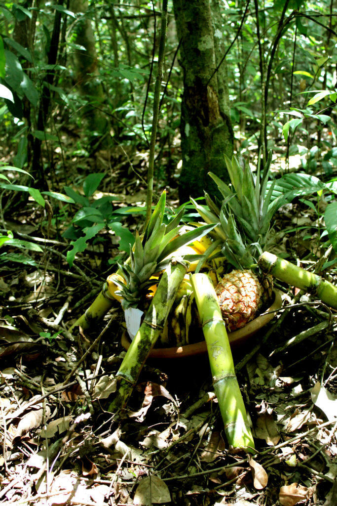 Culto a ancestrais e antepassados em Porto Alegre, Rio Grande do Sul - Rama dos 4 Caminhos