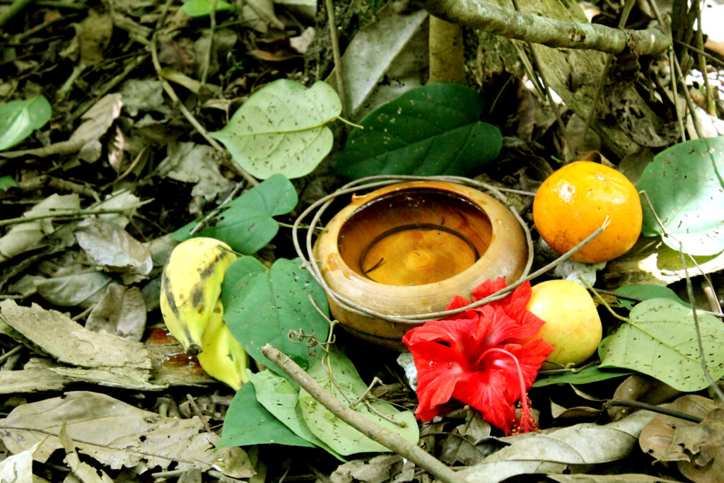 Árvore Genealógica da Quimbanda Gaúcha - Culto a ancestrais em Porto Alegre, Rio Grande do Sul