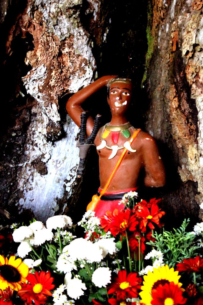 Reino das Matas na Quimbanda - Culto a ancestrais em Porto Alegre, Rio Grande do Sul