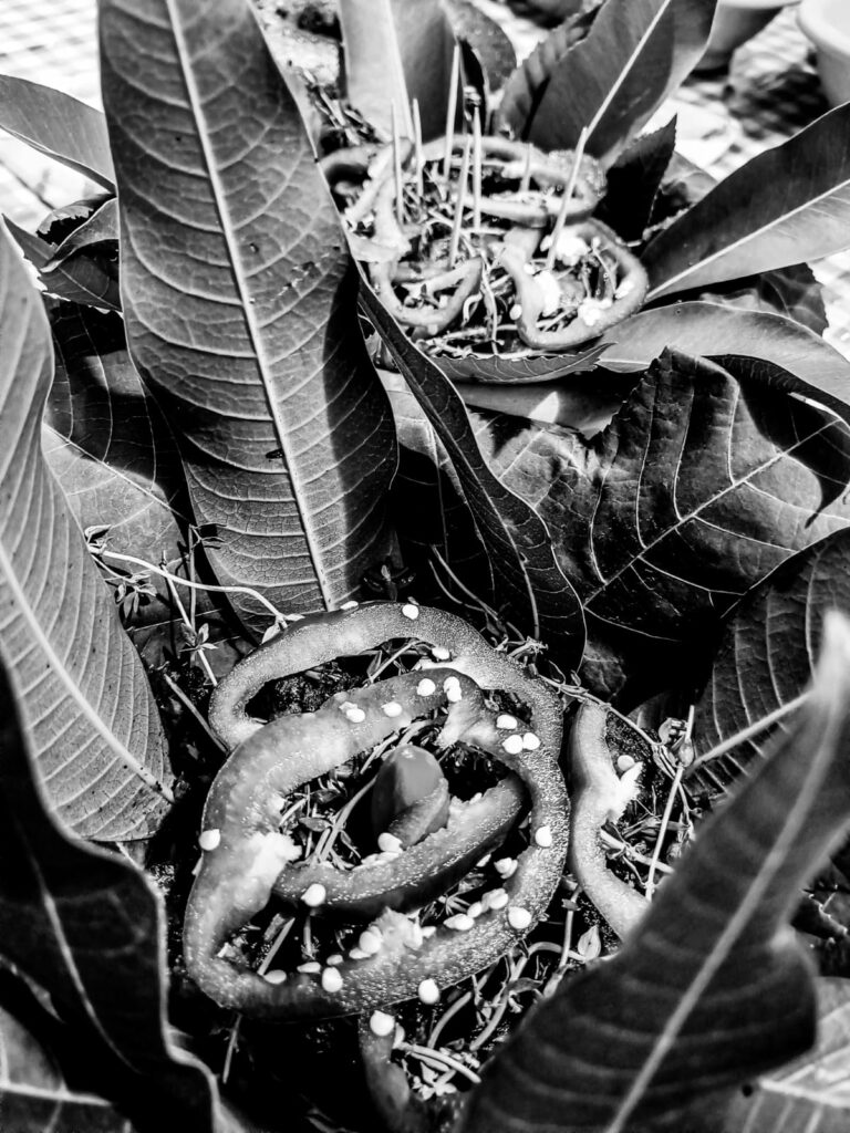 Quimbanda Gaúcha, Quimbanda em Porto Alegre. Culto a ancestrais e antepassados.