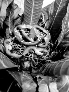 Quimbanda ancestral | Como a genealogia e o culto aos antepassados reconecta as raízes ancestrais