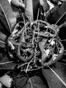 Quimbanda em Porto Alegre, uma oportunidade de  conectar-se com sua ancestralidade