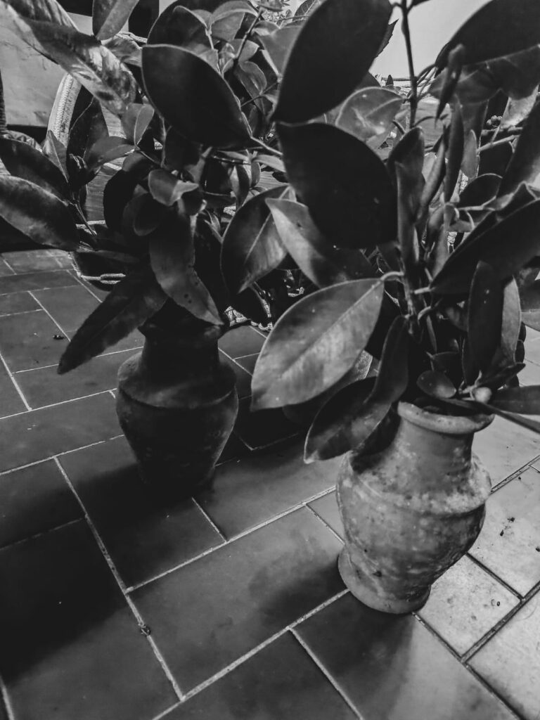 Quimbanda Gaúcha, Quimbanda em Porto Alegre. Culto a ancestrais e antepassados.