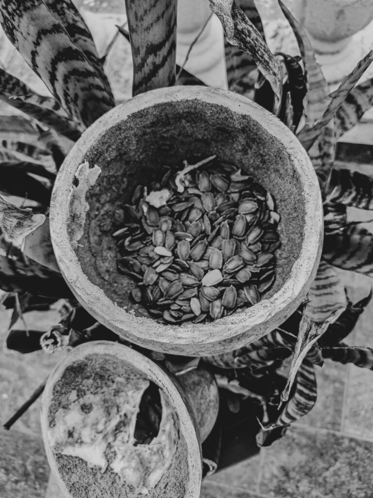 Quimbanda Gaúcha, Quimbanda em Porto Alegre. Culto a ancestrais e antepassados.