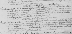 Plantando memória: o papel da pesquisa documental e genealogia no culto à ancestralidade