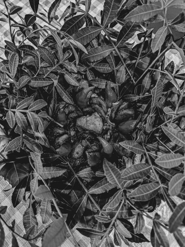 Quimbanda ancestral - Quimbanda em Porto Alegre - Quimbanda Gaúcha - Culto a ancestrais em Porto Alegre - Culto a Exú e Pombagira em Porto Alegre - Iniciação na Quimbanda