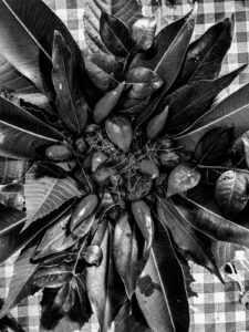 Quimbanda ancestral - Quimbanda em Porto Alegre - Quimbanda Gaúcha - Culto a ancestrais em Porto Alegre - Culto a Exú e Pombagira em Porto Alegre - Iniciação na Quimbanda