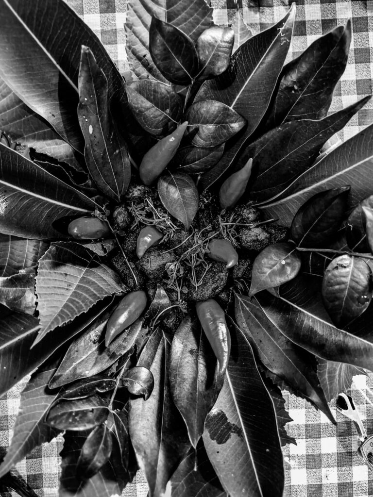 Quimbanda ancestral - Quimbanda em Porto Alegre - Quimbanda Gaúcha - Culto a ancestrais em Porto Alegre - Culto a Exú e Pombagira em Porto Alegre - Iniciação na Quimbanda