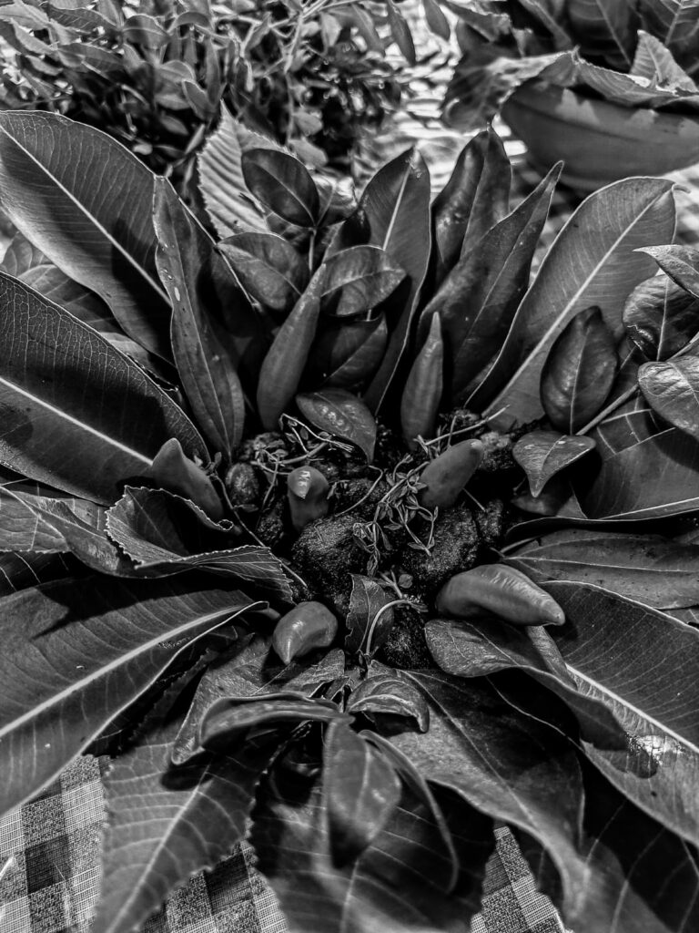 Quimbanda ancestral - Quimbanda em Porto Alegre - Quimbanda Gaúcha - Culto a ancestrais em Porto Alegre - Culto a Exú e Pombagira em Porto Alegre - Iniciação na Quimbanda