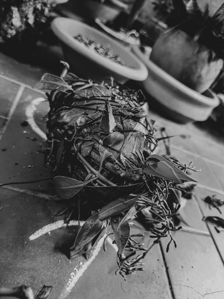 Quimbanda ancestral - Quimbanda em Porto Alegre - Quimbanda Gaúcha - Culto a ancestrais em Porto Alegre - Culto a Exú e Pombagira em Porto Alegre - Iniciação na Quimbanda