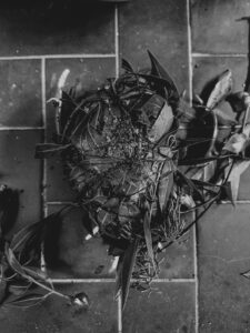 Quimbanda ancestral - Quimbanda em Porto Alegre - Quimbanda Gaúcha - Culto a ancestrais em Porto Alegre - Culto a Exú e Pombagira em Porto Alegre - Iniciação na Quimbanda